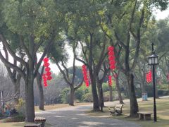 -苏州上方山国家森林公园