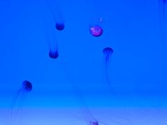 -沈阳海洋探索中心