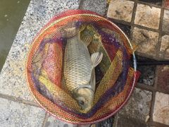 -酷鱼垂钓CLUB(朝阳区博大路店 )