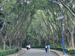 -滴水岩森林公园