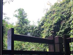 -三亚亚龙湾人间天堂鸟巢度假村