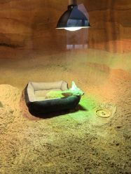 -酷嗒动物文化乐园(cutezoo西溪乐天城店)