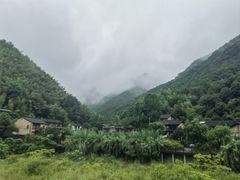 -芦茨金富饭庄·25年老字号·专做稻草鸡