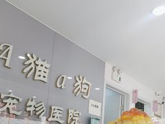 -A猫a狗全科·犬猫异宠·芥西宠物医院(南开总院)