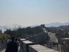 -黄贤森林公园