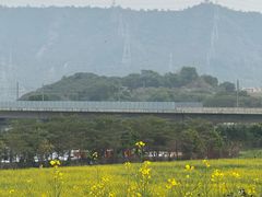 -光明小镇欢乐田园