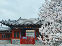 -迎泽公园