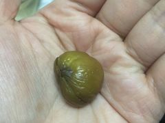 -秋栗香(地安门店)
