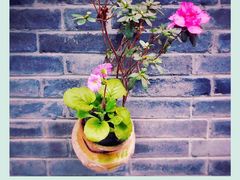 平乐古镇-平乐古镇