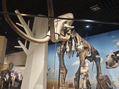 -国家自然博物馆