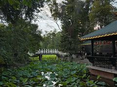 -桂湖森林公园