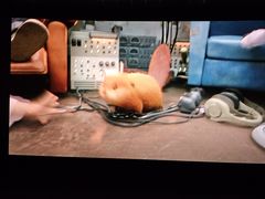 -寰映影城(摩天活力城IMAX店)