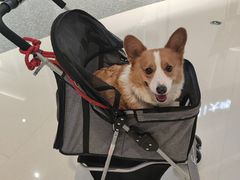 -稻香酒家(华润万象城店)