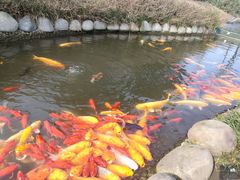-成飞公园