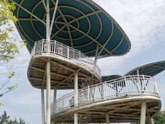 -铁山坪森林公园