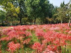 -白塘生态植物园