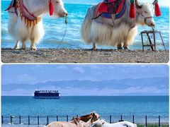-青海湖国家重点风景名胜区