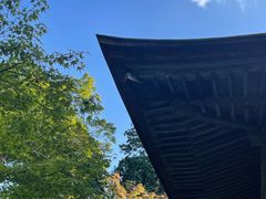 -三千院