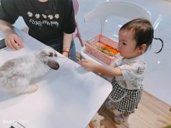 -Moni星球萌宠·小马宝莉·灵蛇·高端高阶全萌宠互动体验俱乐部(红豆国际广场店)