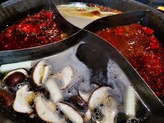 -白乐天毛肚火锅馆(解放碑店)