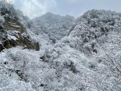 -秦岭风景区