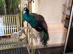 -西双版纳融创皇冠假日度假酒店