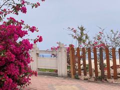 -玫瑰海岸文化旅游度假区