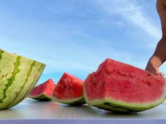 -西涌国际滨海旅游区