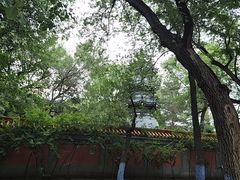 -哈尔滨极乐寺