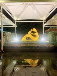 -保丽宝泰母婴护理院·月子中心·产康·中医(常州店)