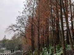 -桂林两江四湖景区