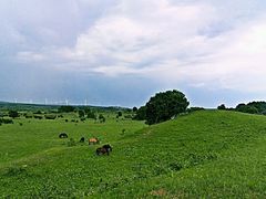 android_upload_pic-木兰围场