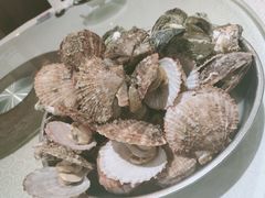 -味到1981日照海鲜·渔饺子