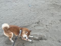 -珠海金沙滩