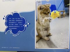 -纳吉亚猫专科动物医院·北北分院