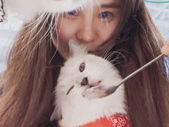 -喵喵咪呀布偶猫咖(春熙路店)