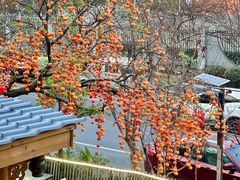 -田园印象·成都土菜院子(华阳店)