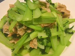 -张生记(双菱店)