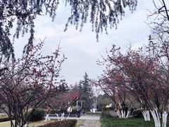 -重庆中央公园(渝北区)