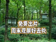 -中国茶叶博物馆(双峰馆区)