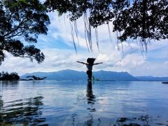 -大埔公路-马料水段香港中文大学(公交站)