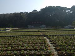 -古田会议纪念馆
