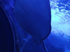 -秦皇岛新澳海底世界