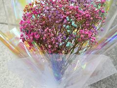 -董家湾重庆老火锅(嘉华店)