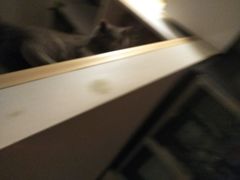 -北京稻香村(京港城生活广场店)