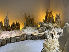 -游龙石文化科普馆