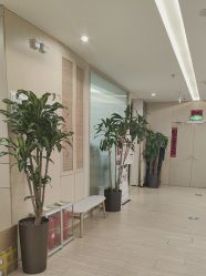 -归位瑜伽＆普拉提馆