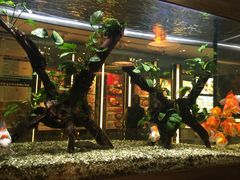 -大家乐(广州荔湾领展广场店)