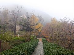 -北京鹫峰国家森林公园