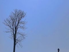 -上海辰山植物园